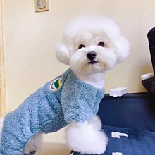 寵物狗狗衣服秋冬季保暖四腳衣帶挎包加絨加厚比熊泰迪防掉毛衣服 歷史價格詳細信息