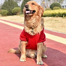 廠家出貨網紅可拆洗的狗窩四季通用狗床墊子貓窩冬季保暖冬天金毛寵物用品 歷史價格詳細信息