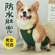 廠家出貨寵物狗狗衣服公主裙子小型犬泰迪比熊博美約克夏夏季薄款帶牽引繩 歷史價格詳細信息