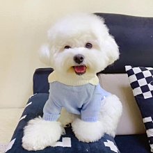 廠家出貨貓咪衣服狗狗冬季保暖防掉毛布偶藍貓可愛寵物幼貓小型犬泰迪衣服 歷史價格詳細信息