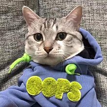 【奶茶家】可愛硅膠拍拍小夜燈床頭燈臥室睡眠嬰兒兒童伴睡喂奶護眼充電臺燈 歷史價格詳細信息