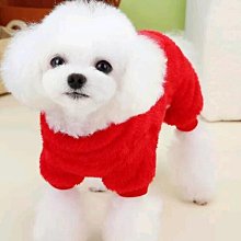 東北大花布衣服兒童民族風嘻哈套裝男女童夏大花短褲搞笑演出服裝 歷史價格詳細信息