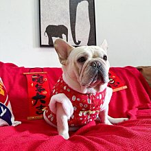 貓咪衣服過年拜年貓貓布偶喜慶保暖寵物冬季秋冬裝小貓新年狗秋冬【雅怡尚品】 歷史價格詳細信息