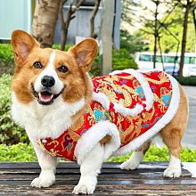狗狗新年衣服寵物圣誕秋冬款小貓咪小狗小型犬泰迪博美比熊拜年服 價格比較,價格查詢,歷史價格詳細信息