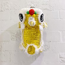 網紅舞之戀幼兒童舞蹈鞋軟底練功鞋成人爪鞋女童跳舞鞋瑜珈芭蕾 歷史價格詳細信息