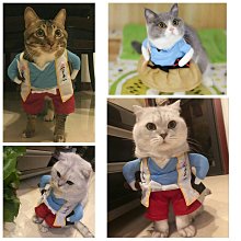 寵物衣服cosplay 狗衣服 貓衣服 寵物變身裝 搞怪創意萬聖節耶誕節狗狗變身裝 黑色蝙蝠大學T 可愛超萌狗狗貓咪衣服 歷史價格詳細信息