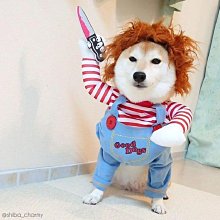 搞笑寵物變身裝 寵物貓咪狗狗搞怪衣服變裝(4號)_☆找好物FINDGOODS☆ 歷史價格詳細信息