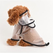 新款寵物用品s型隧道玩具可摺疊通道自嗨劍麻絨球玩具逗棒 歷史價格詳細信息