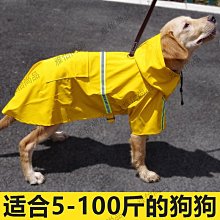 泰迪金毛寵物大型中型小型犬狗鏈遛狗繩2米3米加長狗狗牽引繩 歷史價格詳細信息