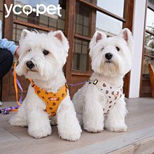 狗狗牽引繩小型犬背心式胸背帶比熊泰迪小狗幼犬遛狗繩狗鏈子用品 歷史價格詳細信息