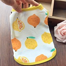 狗狗衣服夏季春秋薄款小型犬泰迪比熊純棉網紅夏天背心寵物潮牌 歷史價格詳細信息