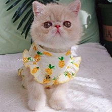 狗衣服 狗春夏防著涼四腳衣服泰迪比熊肚家居服超夯 精品 歷史價格詳細信息