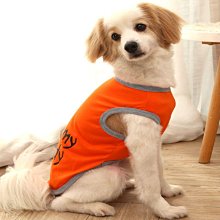 【元泰】元氣白馬毛/花馬毛 竹牙刷 歷史價格詳細信息