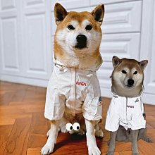 【台灣賣家】 寵物衝鋒衣 寵物風衣 柯基 法鬥 柴犬 比熊 雪納瑞 邊境牧羊 貴賓 米克斯 西高地 哈士奇 法鬥 狗外套 歷史價格詳細信息