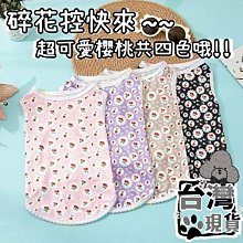 『伊果~現貨秒出』挑戰最便宜 狗狗發聲玩具 狗玩具 磨牙玩具 耐咬解悶 花生 玉米 耐咬玩具 啾啾玩具 你丟我撿 歷史價格詳細信息