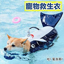 救生衣 安全衣 浮力背心助泳衣大人游泳大浮力胖子車載摩托艇水域救援救生衣 歷史價格詳細信息