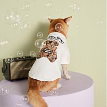 Tik Tok爆款燈顯數顯高速吹風機負離子11萬轉1600W大功率電吹風 歷史價格詳細信息