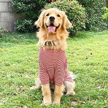 狗狗衣服 夏天透氣薄款 泰迪柯基博美柴犬比熊小型犬寵物夏季 歷史價格詳細信息