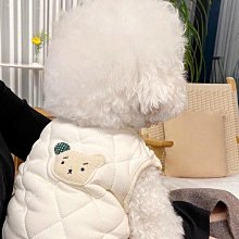 貓咪衣服可愛小熊衛衣狗狗秋冬保暖布偶金吉拉泰迪藍幼貓寵物服飾 歷史價格詳細信息