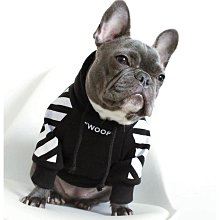 連帽保暖狗狗衣服 冬天寵物衣服 貓咪衣服 法鬥泰迪 超萌星星狗狗衣服 ins寵物毛衣針織衫 可愛卡通寵物衣服 歷史價格詳細信息