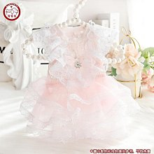 定禮堂椅多媒體階梯教室排椅看臺階梯教室教堂椅多媒體膠殼座椅 歷史價格詳細信息