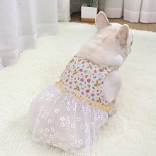 狗衣服 春夏透氣舒適狗狗衣服 貓衣服 INS夢幻寵物裙子 貓咪衣服 超萌寵物格子裙 可愛狗狗洋裝 超萌狗狗洋裝 歷史價格詳細信息
