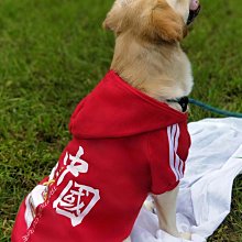 2023新款蘭博基尼賽博朋克積木跑車遙控賽車汽車男孩拼裝玩具模型 歷史價格詳細信息