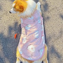 2023新款柴火竈家用木柴戶外爐具爐子農村地鍋竈臺燒火室外爐竈 歷史價格詳細信息