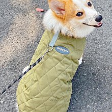 狗狗衣服冬季保暖羽絨棉衣柴犬金毛薩摩中型大型犬寵物衣服秋冬裝【雅怡尚品】 歷史價格詳細信息