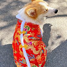 狗狗衣服冬季保暖羽絨棉衣柴犬金毛薩摩中型大型犬寵物衣服秋冬裝【雅怡尚品】 歷史價格詳細信息