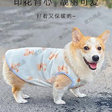 珊瑚礁雅築 印度聖螺.法器.(長約182cm，附口蓋..自然原味，厚重實在，值得珍藏，可送禮或做為擺飾、教 歷史價格詳細信息