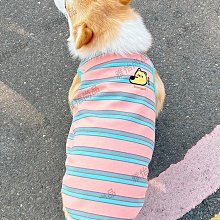 2024新款雅馬哈汽由發電機220小型家用380三相商用5/6.5/8/10千瓦 歷史價格詳細信息