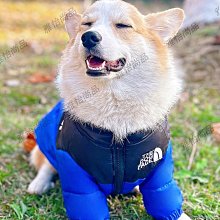 網紅柴火爐新式灶燒木柴家用氣化爐煤兩用露營炊具子猛火戶外無煙 歷史價格詳細信息