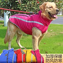 狗衣服 季金毛拉布拉多夏季衣服大狗薩摩耶衣服超夯 精品 歷史價格詳細信息
