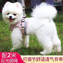 泰迪狗牽引繩狗貓繩子狗項圈遛狗鏈子貓繩中小型胸背帶貓狗日用品~爆款 優惠價 歷史價格詳細信息