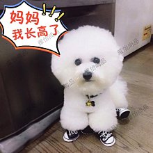 四季西雅圖：20種在地玩法[二手書_良好]9096 TAAZE讀冊生活 歷史價格詳細信息