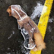 大狗狗雨衣薩摩耶金毛柴犬柯基的中型大型犬防水四腳雨披寵物衣服寵物狗雨衣 狗狗雨衣 透明雨衣 防水雨衣 寵物外出用品狗雨衣 歷史價格詳細信息