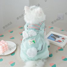 貓咪衣服四腳防掉毛睡衣春秋季英短藍貓布偶貓幼貓寵物狗狗家居服 歷史價格詳細信息