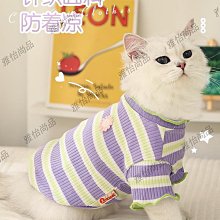 可愛咪衣服小白龍變身裝秋冬保暖加厚寵物冬季絨衣銀漸層布偶 歷史價格詳細信息