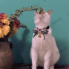 貓咪項圈貓項鏈寵物裝飾頸脖圈狗狗用品編織飾品貓圍脖小貓咪 歷史價格詳細信息
