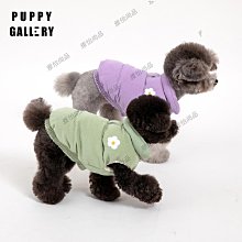 韓國 小雛菊 斜背包 紫色 黃色 米白 黑色 鍊條包 手提包 休閒 姊妹 閨蜜 歷史價格詳細信息