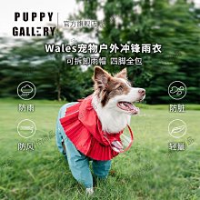 韓國 狗狗 柯基 甜甜圈 胸針 歷史價格詳細信息