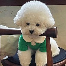 夏季狗狗馬鞍式胸背中小型犬寵物牽引繩防爆沖不勒脖防掙脫可調節 歷史價格詳細信息