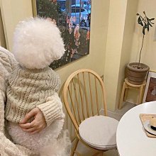 貓咪狗狗衣服秋冬季新款保暖雪納瑞法斗比熊泰迪中小型犬衛衣連帽【雅怡尚品】 歷史價格詳細信息