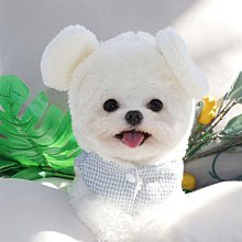 夏裝貓咪小狗狗薄款英短比熊科技博美泰迪小型犬幼犬春秋寵物背心 歷史價格詳細信息