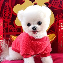 寵物服 寵物新年喜慶毛衣冬季泰迪比熊博美小型犬貓咪狗狗過年衣服秋冬裝 歷史價格詳細信息