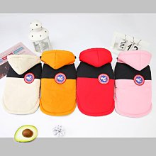 寵物服 寵物衣服秋冬狗狗衣服泰迪貓咪寵物服裝秋冬新款24兔毛絨外套 歷史價格詳細信息
