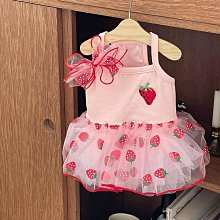 夏季薄款狗狗寵物衣服雪納瑞馬爾濟斯小型犬比熊泰迪貓咪衣服可愛 歷史價格詳細信息