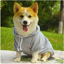 【台灣現貨】寵物  柴犬 狗 行動電源 充電器 快充行動電源 迷你行動電源 行動充 快充 生日禮物 交換禮物 禮物 聖誕 歷史價格詳細信息