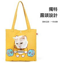 寵物可愛貓咪JK格子圍脖貓咪蕾絲狗狗口水巾中小型犬裝飾貓咪項圈 歷史價格詳細信息